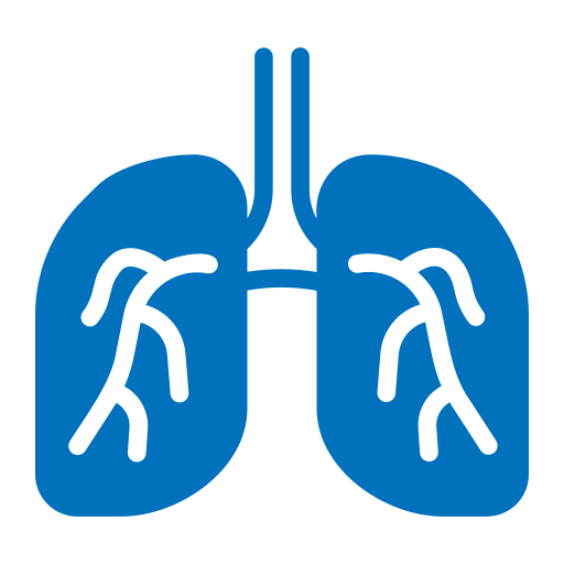 Lungs Generic color fill icon