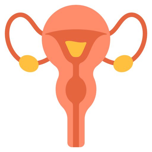 organe reproducteur féminin Icône gratuit organe reproducteur féminin Icône gratuit