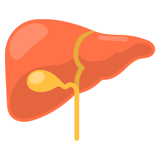 hígado icono gratis