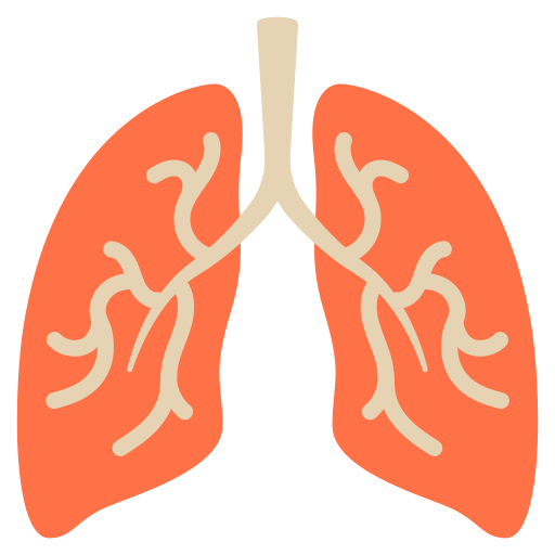 pulmones icono gratis