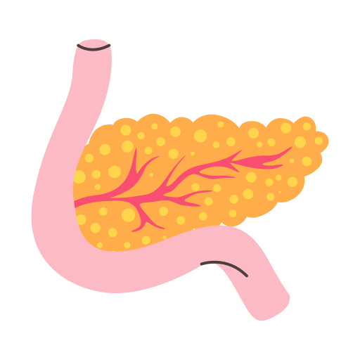 páncreas icono gratis