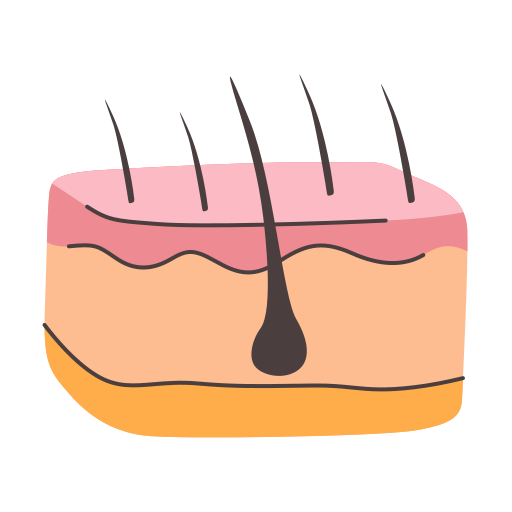 Кожа бесплатно иконка