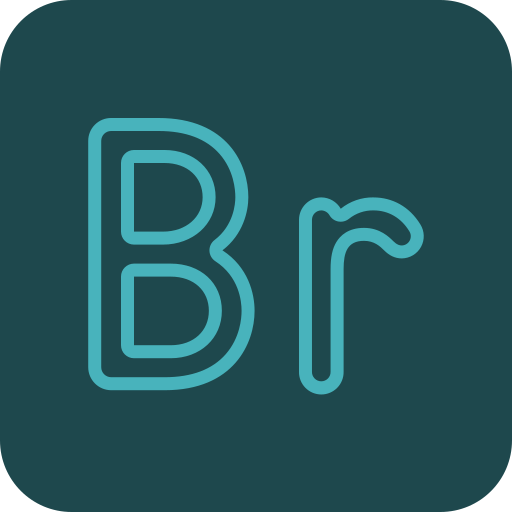 BR Generic color fill icon