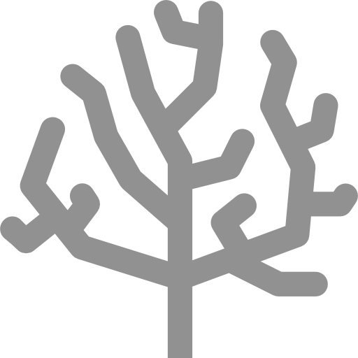 Coral free icon Coral free icon