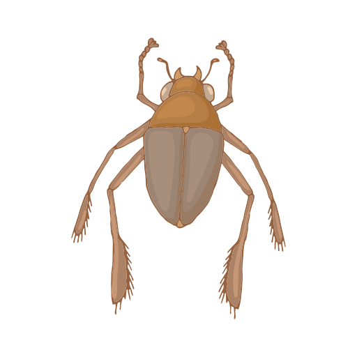 Insect free icon Insect free icon