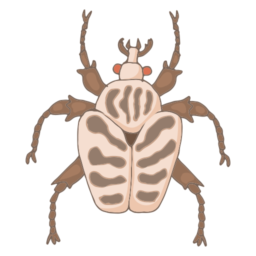 Insect free icon Insect free icon