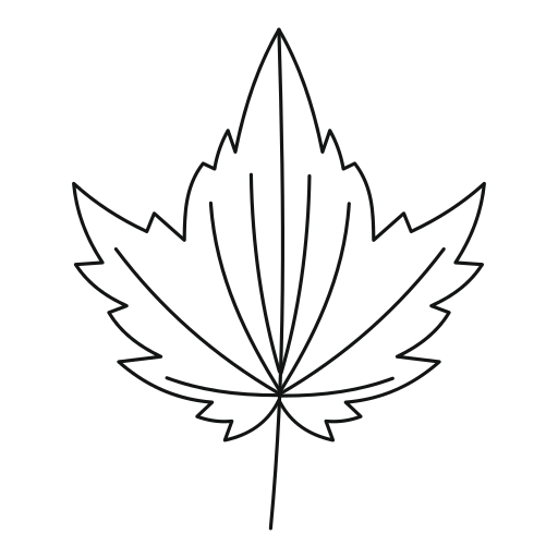 Big leaf Generic outline icon