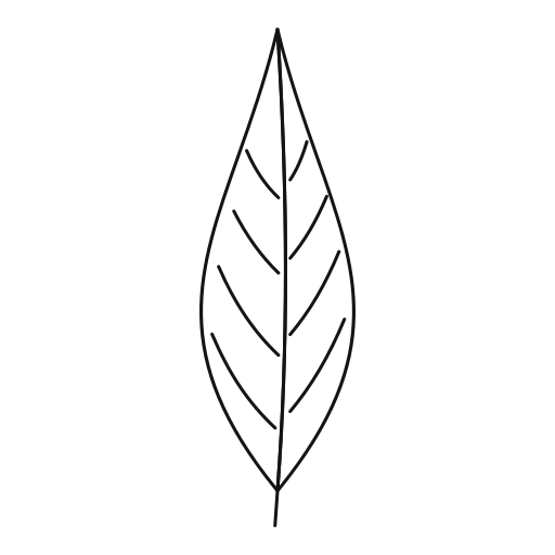 Birch Leaf Generic Outline Icon