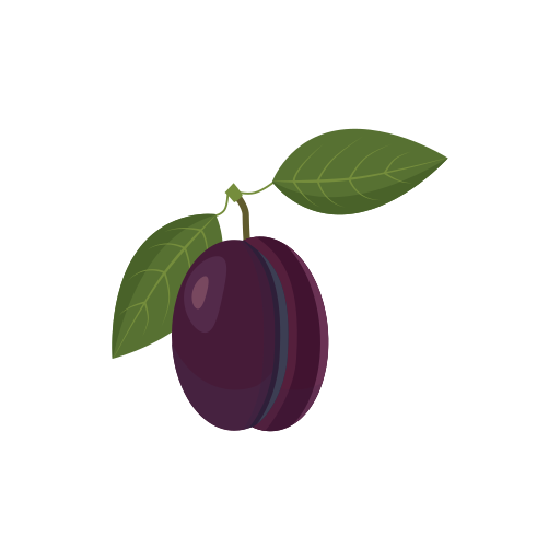 Fruit free icon