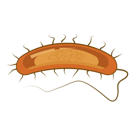 Medicine free icon Medicine free icon