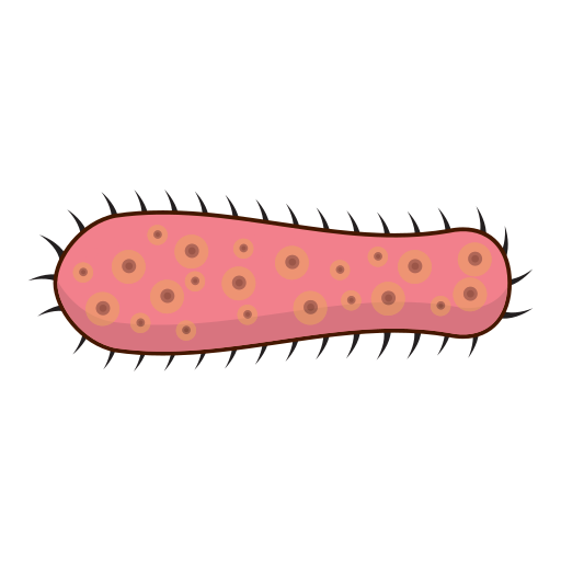 Medicine free icon Medicine free icon