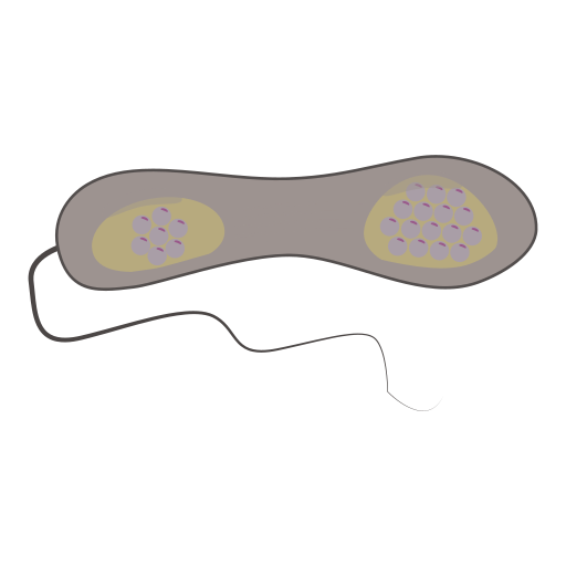 Medicine free icon Medicine free icon