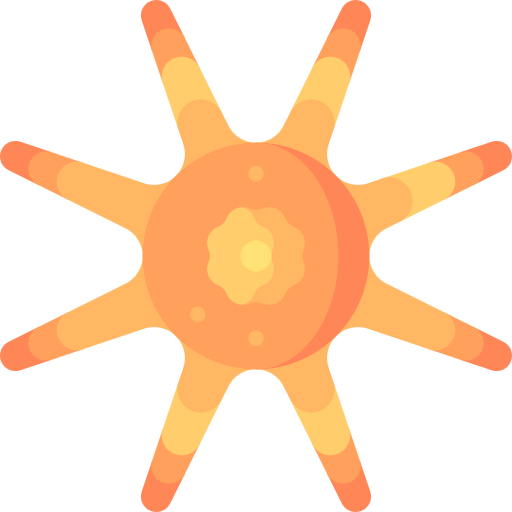 estrella de mar sol icono gratis