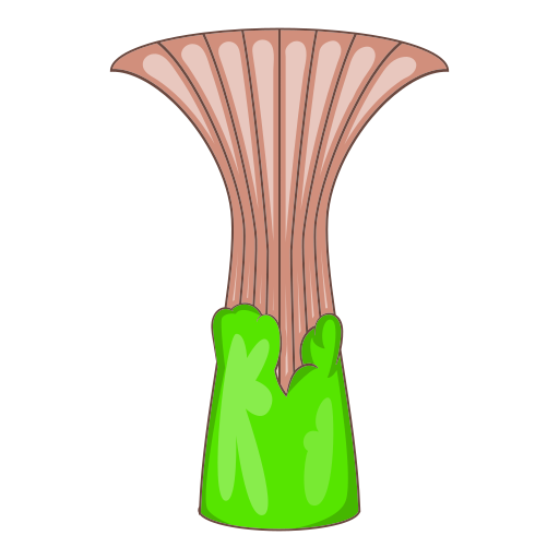 자연 무료 아이콘