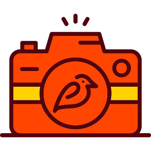 kamera kostenlos Icon kamera kostenlos Icon