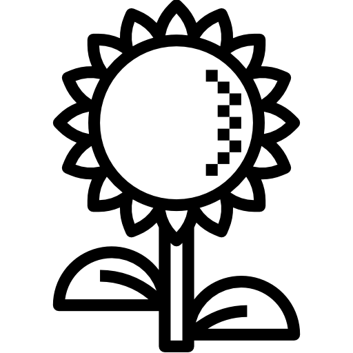 Подсолнечник бесплатно иконка