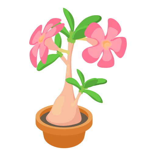 꽃 무료 아이콘 꽃 무료 아이콘