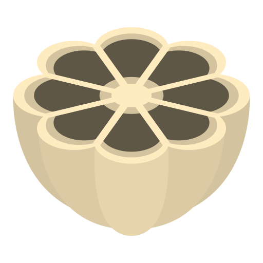 fruta grátis ícone