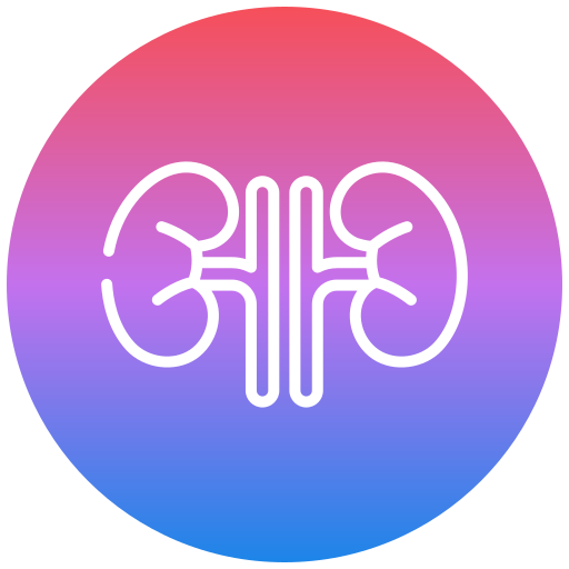 riñón icono gratis