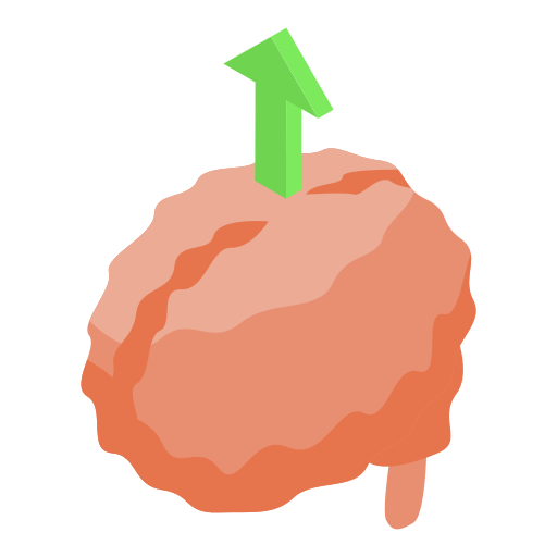 교육 무료 아이콘