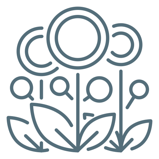 monedas icono gratis