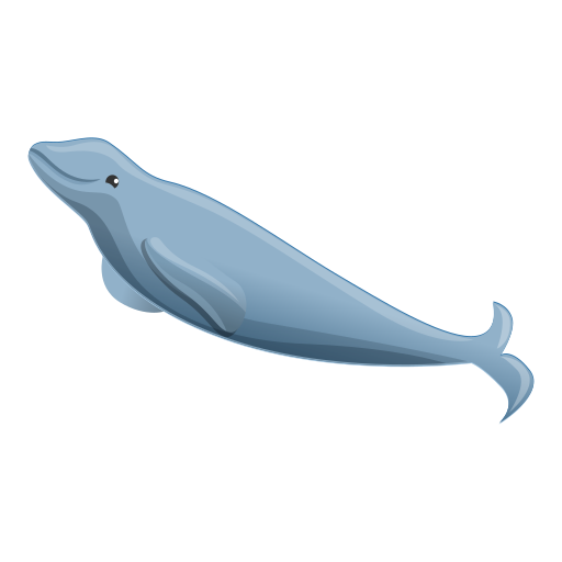 Whale free icon Whale free icon
