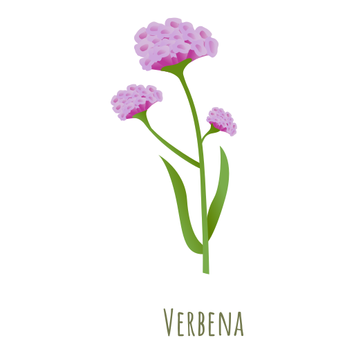 Verbena - Free arrows icons