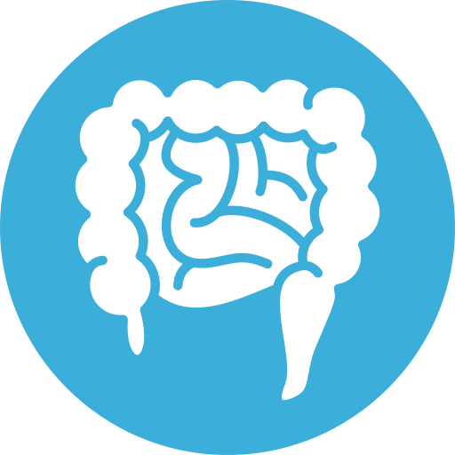 Intestine Generic color fill icon