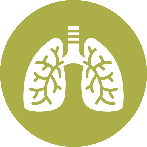 Lungs Generic color fill icon