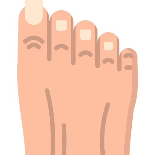 Toe - Free healthcare and medical icons