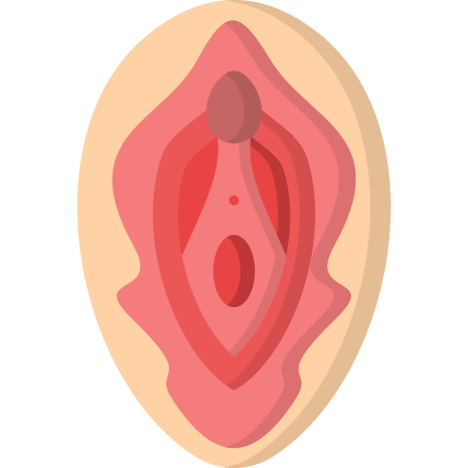 vagina icono gratis