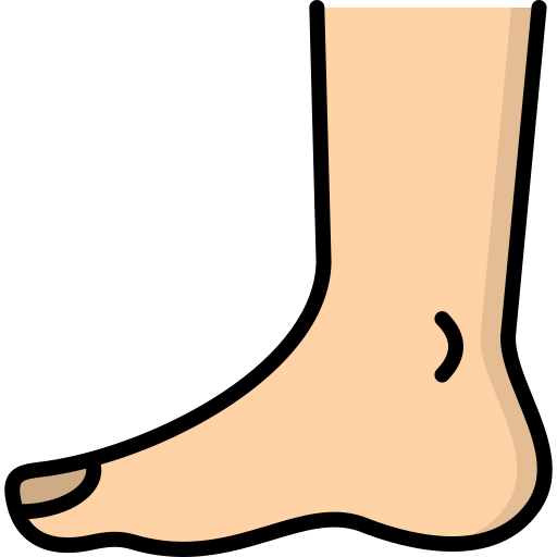 Foot Generic color lineal-color icon