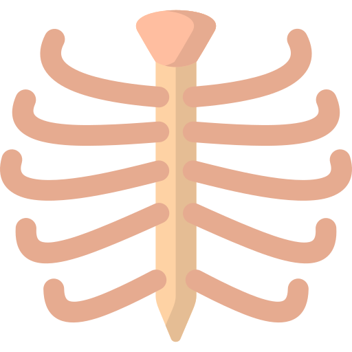 caja torácica icono gratis