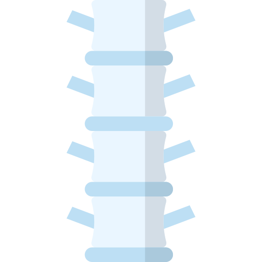 columna vertebral icono gratis