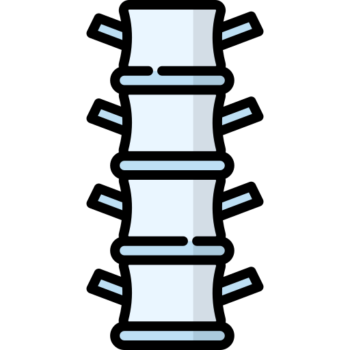 columna vertebral icono gratis