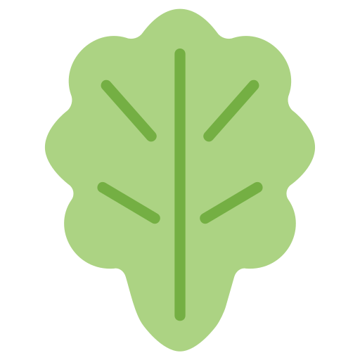 kopfsalat kostenlos Icon kopfsalat kostenlos Icon