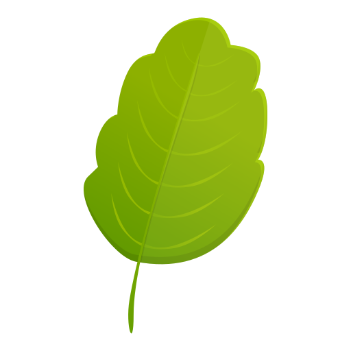 Природа бесплатно иконка Природа бесплатно иконка