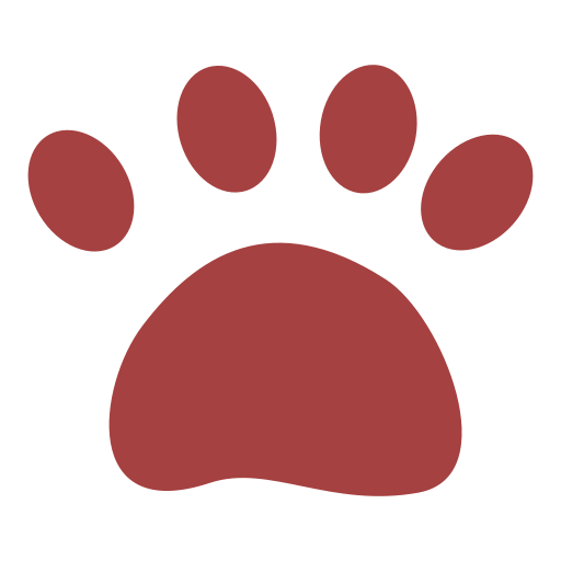 Медведь бесплатно иконка