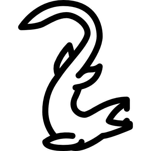 Eonatator free icon