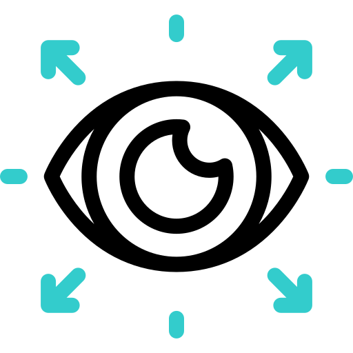 Vision Basic Accent Outline icon