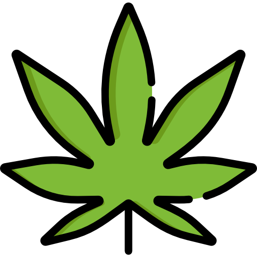 Cannabis Special Lineal color icon