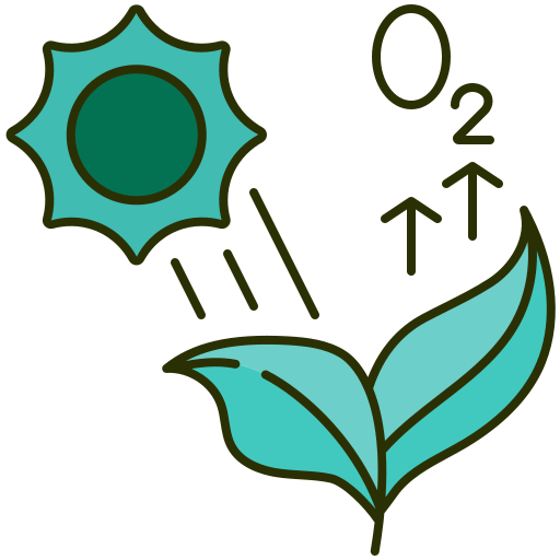 fotosíntesis icono gratis