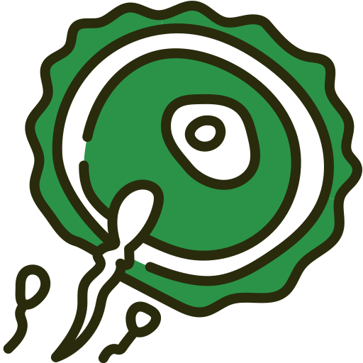 Фертильность бесплатно иконка