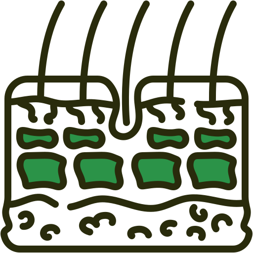 Кожа бесплатно иконка