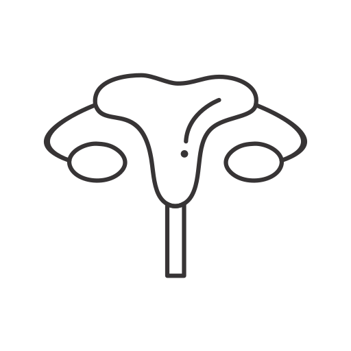 자궁 무료 아이콘