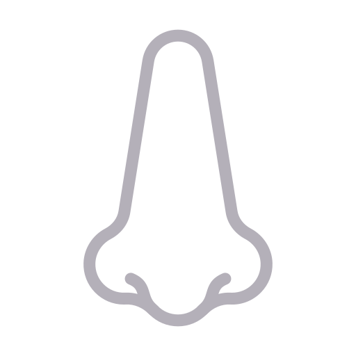 Body Generic outline icon