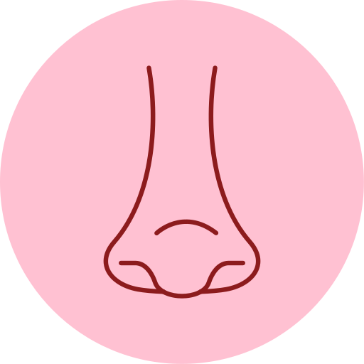 rinología icono gratis