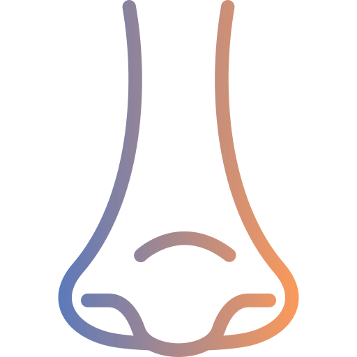 Rhinology free icon Rhinology free icon