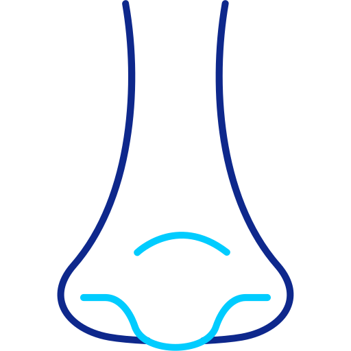 Rhinology free icon