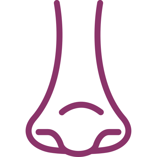 Rhinology free icon Rhinology free icon